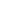 Flamingo Heartbeat