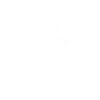 Fish Heartbeat