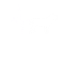 Dog Heartbeat