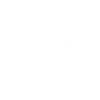 Dog Heartbeat