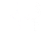 Flamingo Heartbeat