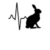Rabbit Heartbeat