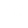 Rabbit Heartbeat