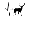 Deer Heartbeat