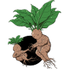 Creation
