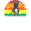 Frenchie Dad