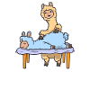 Llama massaged - Physiotherapy