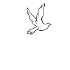 Peace سلام