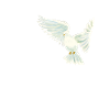 Peace سلام