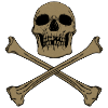 PIRATE FLAG II