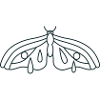 Sad crying moth
