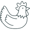 Poule ronde chook