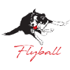 Flyball