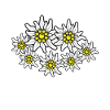 Edelweiss Alps Mountains Alps-Edelweiss Hiking