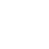 Bone Dino Skull Dinosaur