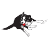 Flyball2