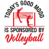 Volleyball Player Team Today's