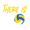 Volleyball Player Team Volleyball