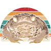 Retro Toad