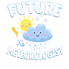 Meteorologist Weather Forecast