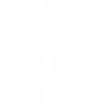 Toad
