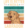Chien Labrador