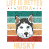 Siberian Husky Dog