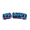 Pro Gamer