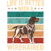 German Wirehair Dog