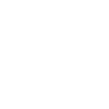 Édition limitée 2006