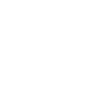 Édition limitée 1999