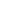 Limited Edition 2000