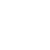 Limited Edition 1991
