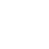Édition limitée 1993