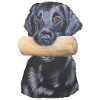 Flatcoated retriever sticker