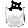 i love cat happy day