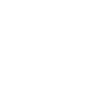Box Heeler Dad