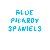 Épagneul bleu picarde