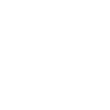 Bull Boxer Dad