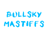 Bullsky Mastiff