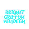 Briquet Griffon Vendeen