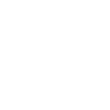 Schwerin coordinates