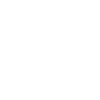From Finland War Pigeon