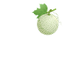I love cantaloupe melons