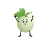 Cantaloupe melon