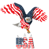 Drapeau de l'aigle américain