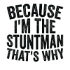 Because I'm a stuntman