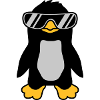 Sunglasses Penguin cool design