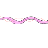 line wave stroke pink