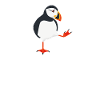 Haras Puffin Grebe Seabird Puffin